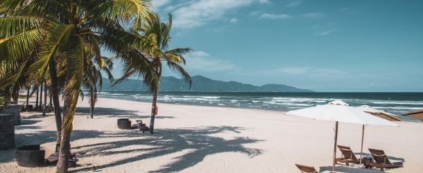 Da Nang beach coconut